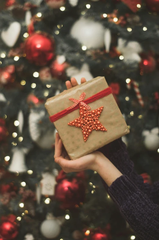 a person holding a present in front of a christmas tree, square, stars, brown paper, abcdefghijklmnopqrstuvwxyz