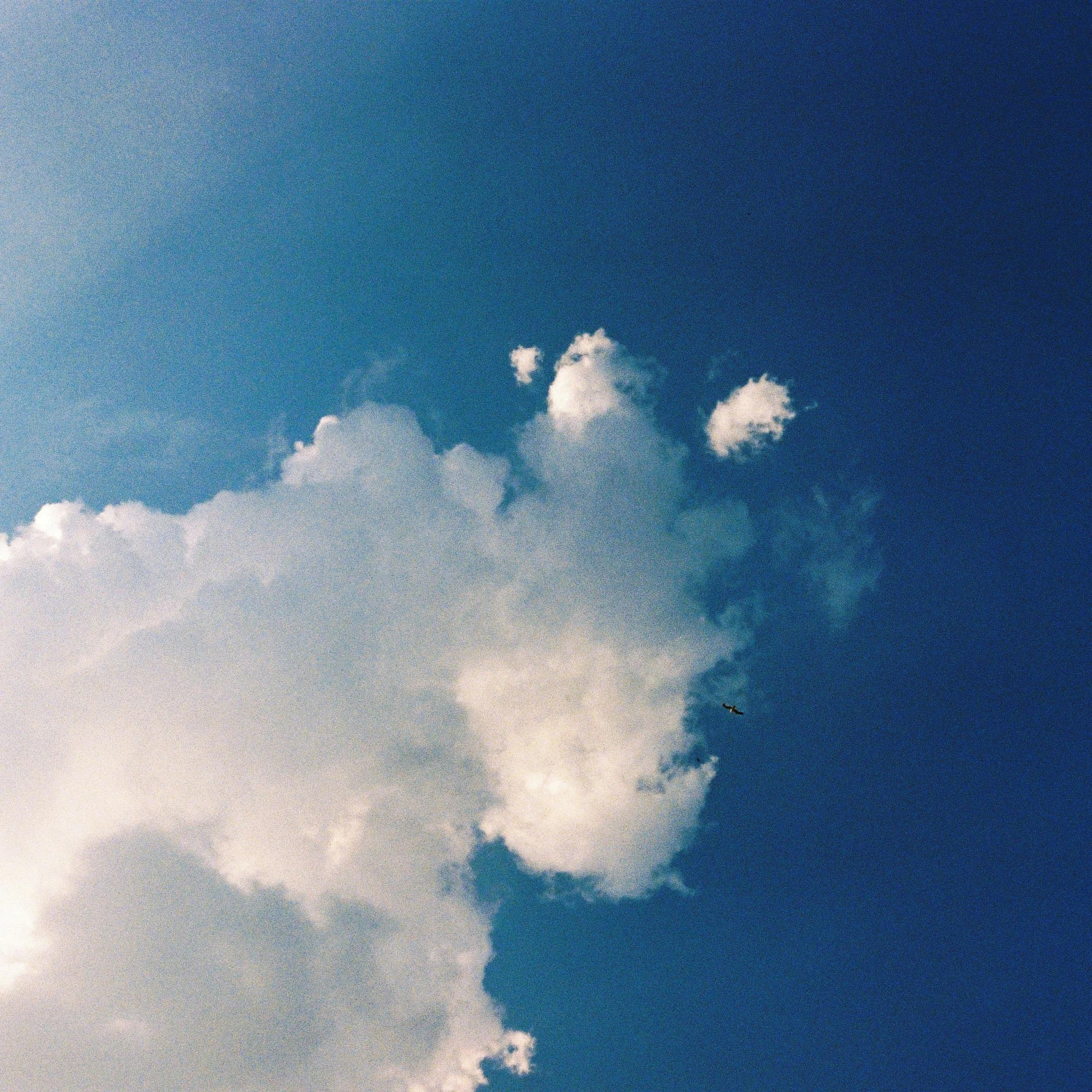 there is a plane that is flying in the sky, an album cover, unsplash, postminimalism, cumulus cloud tattoos, rinko kawauchi, ignant, sky blue