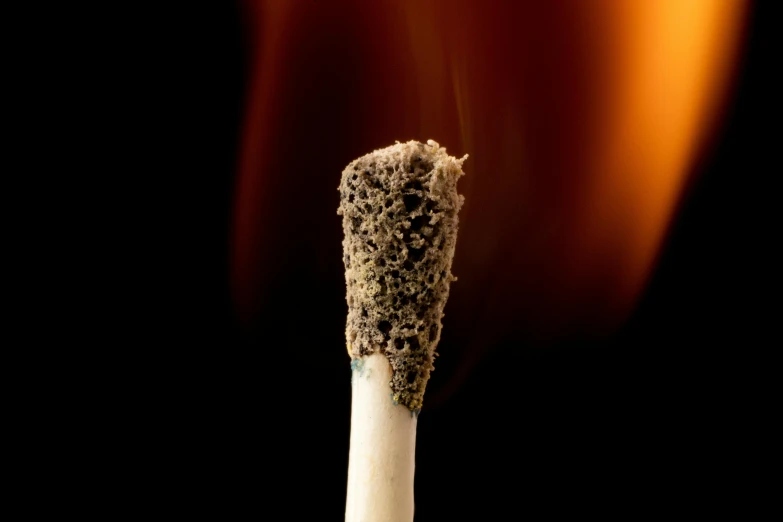 a close up of a matchstick with a fire in the background, by Jesper Knudsen, shutterstock, happening, chewing tobacco, hemp, high - contrast, group photo