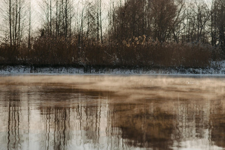 a large body of water with trees in the background, by Béla Nagy Abodi, pexels contest winner, tonalism, glinting particles of ice, medium format. soft light, brown, grey