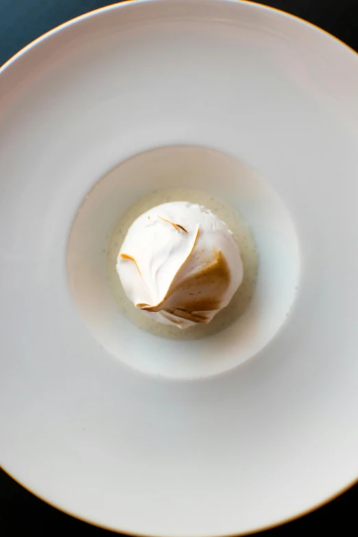 a close up of a plate of food on a table, by Doug Ohlson, renaissance, ice cream cone, top down view, white petal, ignant