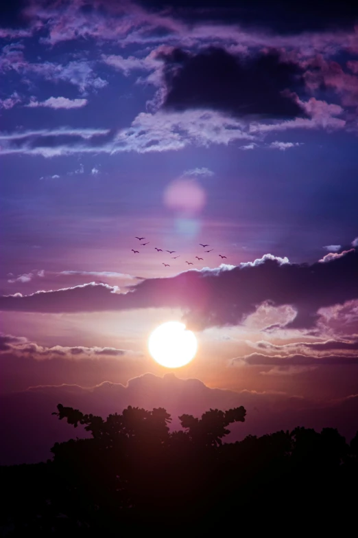 a sunset with a flock of birds flying in the sky, an album cover, inspired by Frederic Edwin Church, pexels contest winner, romanticism, purple sun, two suns, humid evening, summer evening