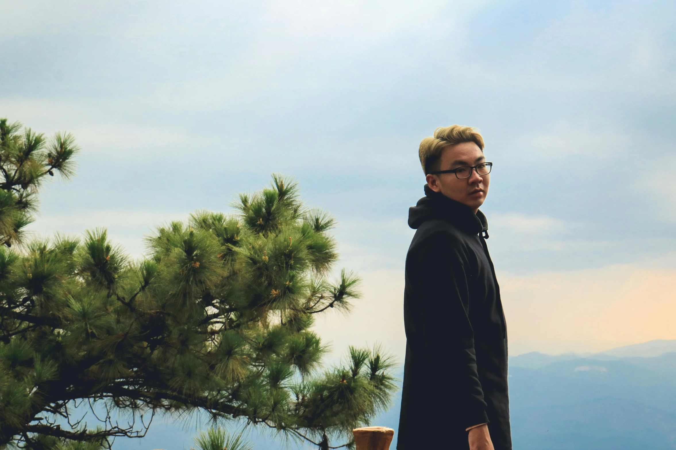 a man standing on top of a mountain next to a pine tree, inspired by Kim Myeong-guk, unsplash, realism, profile image, cai xukun, casually dressed, rectangle