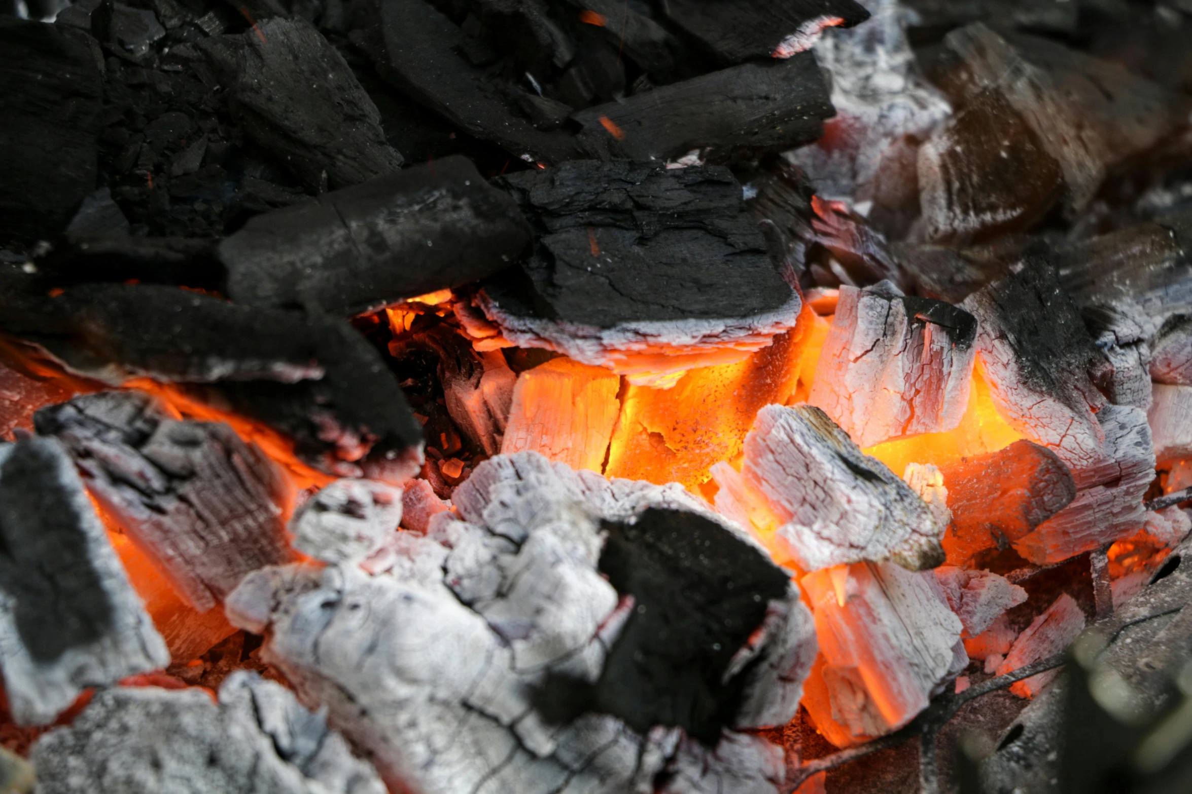 a close up of a fire with charcoal and coal, pexels contest winner, fan favorite, barbecuing chewing gum, iconic scene, warm coloured