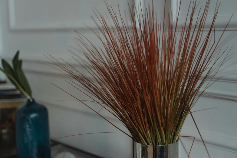 a close up of a vase with a plant in it, by David Simpson, unsplash, patches of red grass, thin lustrous auburn hair, long metal spikes, flax