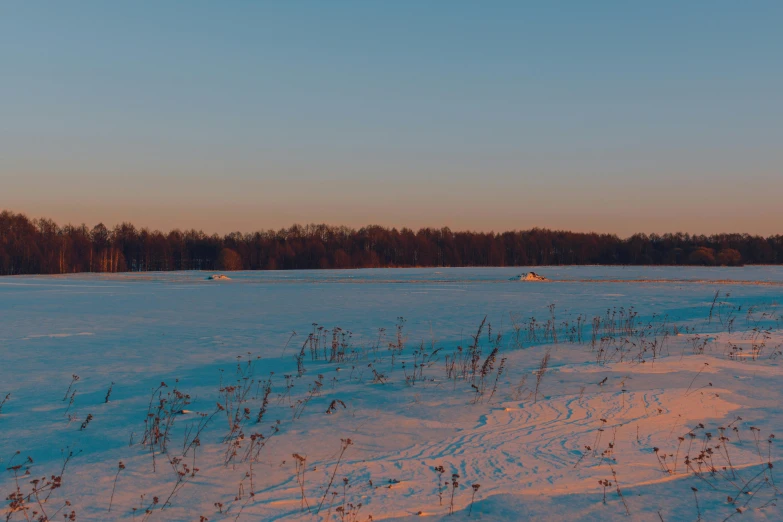 a field covered in snow next to a forest, orange and blue sky, winter lake setting, dusk setting, plows