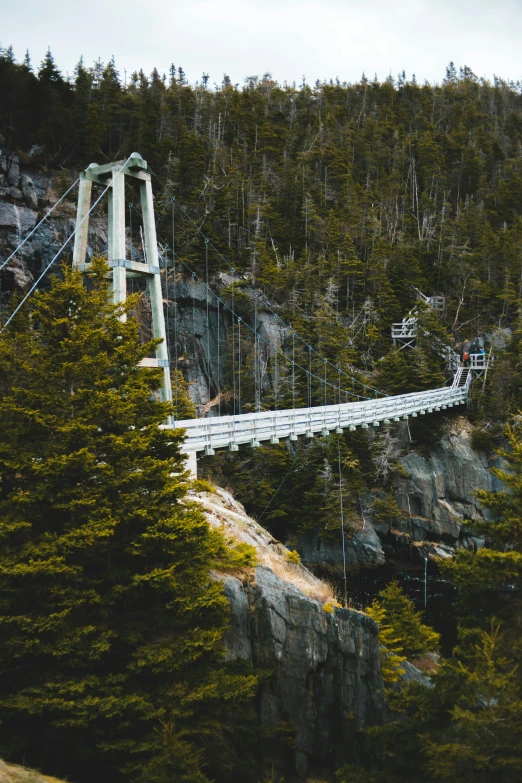 a suspension bridge in the middle of a forest, new hampshire mountain, profile image, 2019 trending photo, high angle shot