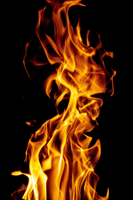 a close up of a fire on a black background, by Jan Rustem, tall, print, multiple stories, getty images