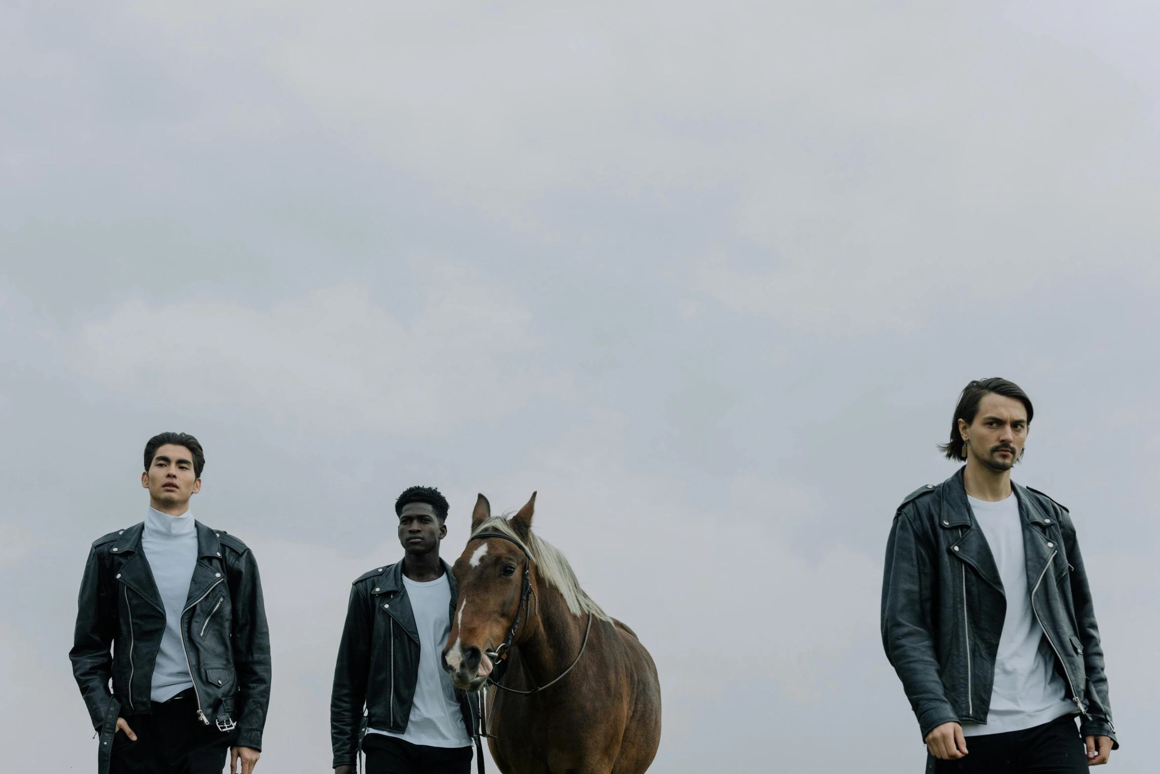 a group of men standing next to a brown horse, an album cover, by Emma Andijewska, pexels contest winner, wearing a leather jacket, mustang, white sky, promotional image