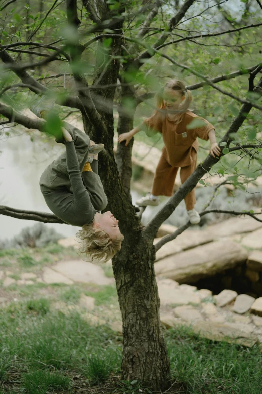 a person hanging upside down in a tree, medium shot of two characters, kids playing, canyon, ignant