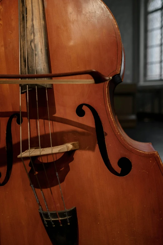 a close up of a cello in a room, by Kurt Seligmann, paul barson, taken in the early 2020s, arched back, colour photograph