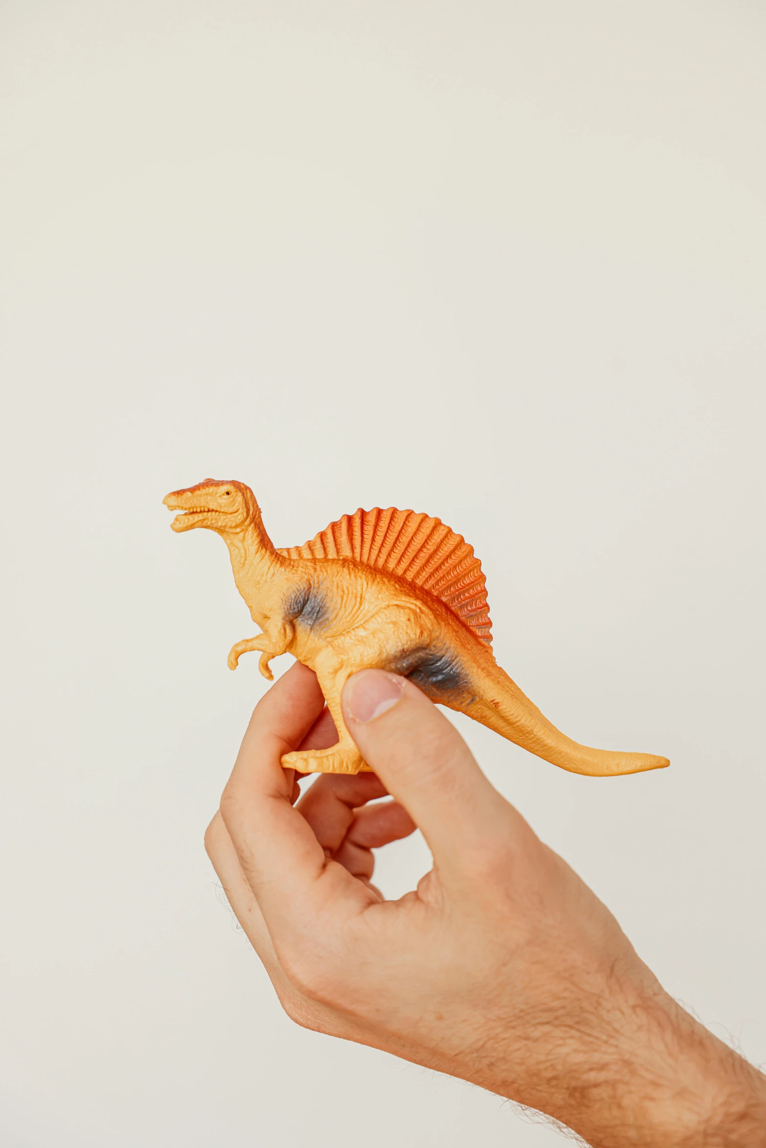 a close up of a person holding a toy dinosaur, inspired by Adam Rex, orange subsurface scattering, detailed product shot, spinosaurus, pointè pose