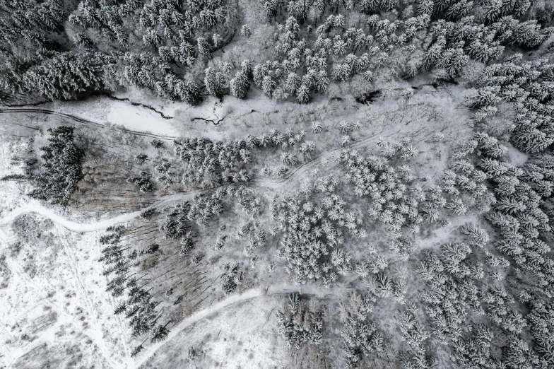an aerial view of a snow covered forest, a black and white photo, by Adam Marczyński, pexels contest winner, land art, amidst of nature fully covered, hues of subtle grey, camera looking down upon, (3 are winter