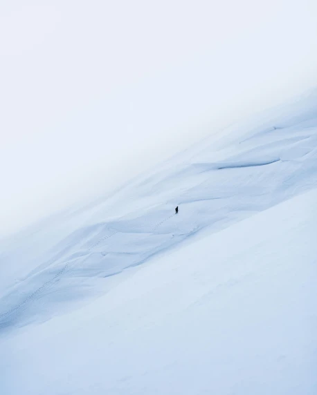 a man riding skis down a snow covered slope, pexels contest winner, minimalism, glacier photography, looking to his left, but minimalist, canvas