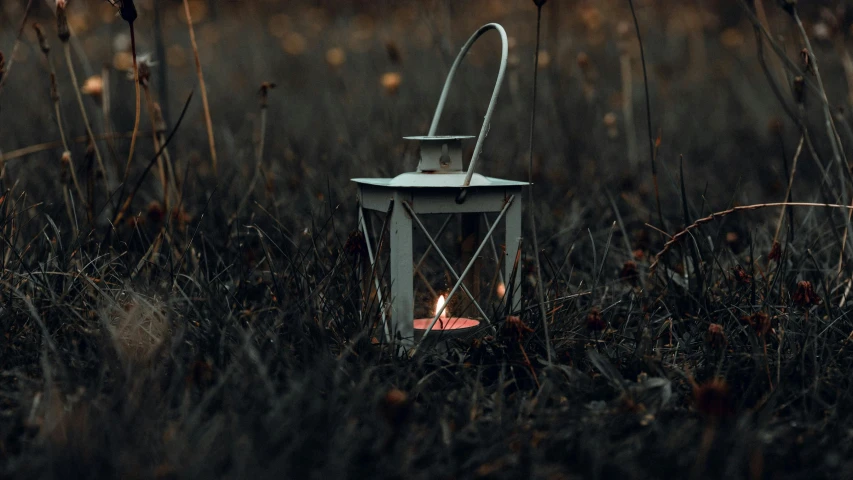 a lantern sitting in the middle of a field, inspired by Elsa Bleda, pexels contest winner, white candles, side light, raking light, rectangle