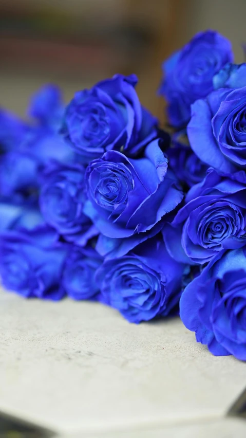 a bunch of blue roses sitting on top of a table, zoomed in, award winning, vibrant colour, in profile