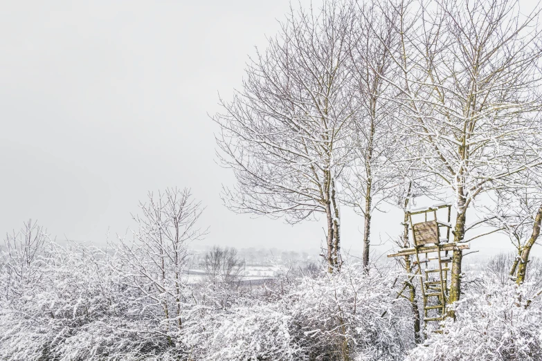 a fire hydrant surrounded by snow covered trees, by Peter Churcher, towering high up over your view, panoramic shot, featured art, stacked image