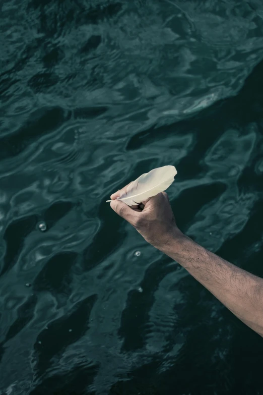 a man is holding a paper boat in the water, by Elsa Bleda, manly, feather, instagram post, mundane
