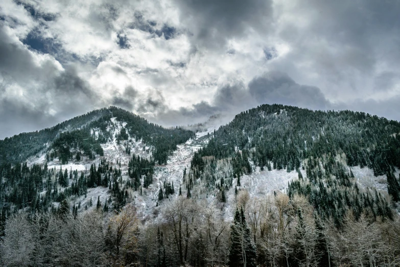 a snow covered mountain with trees in the foreground, by Alison Geissler, pexels contest winner, renaissance, grey cloudy skies, utah, multiple stories, trees. wide view