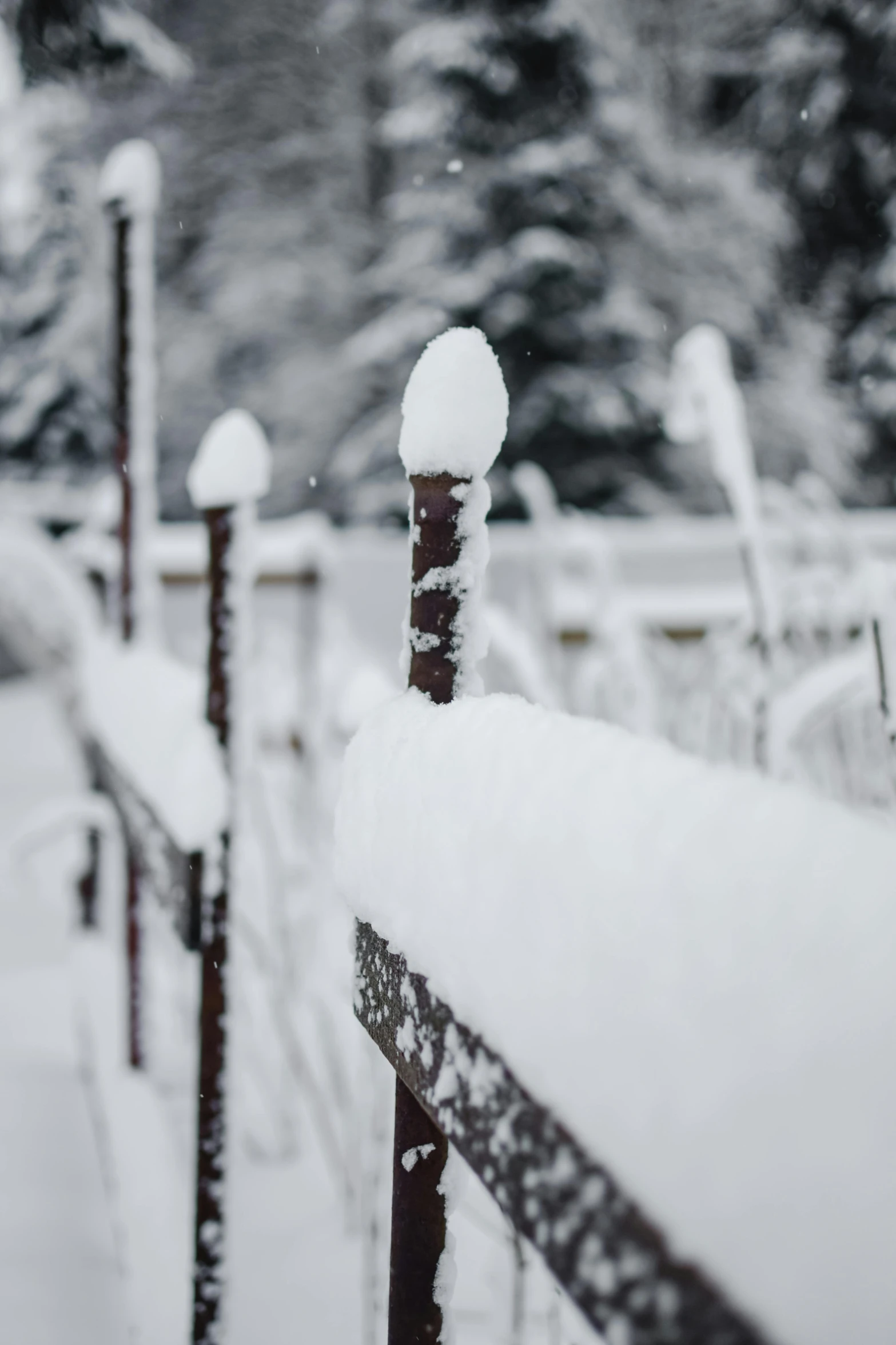 a fence covered in snow next to a forest, iron railing, gardening, up close, multiple stories