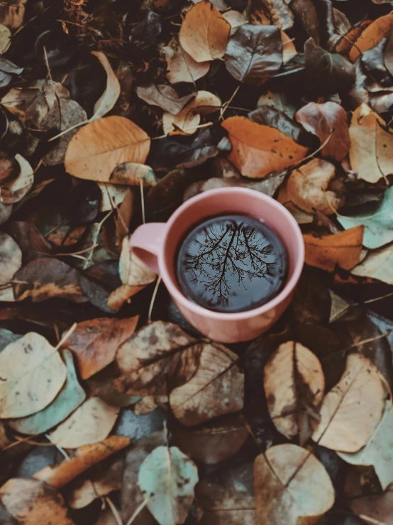 a cup of coffee sitting on top of a pile of leaves, a picture, pexels contest winner, aestheticism, brown and pink color scheme, multiple stories, iphone photo, made of leaves
