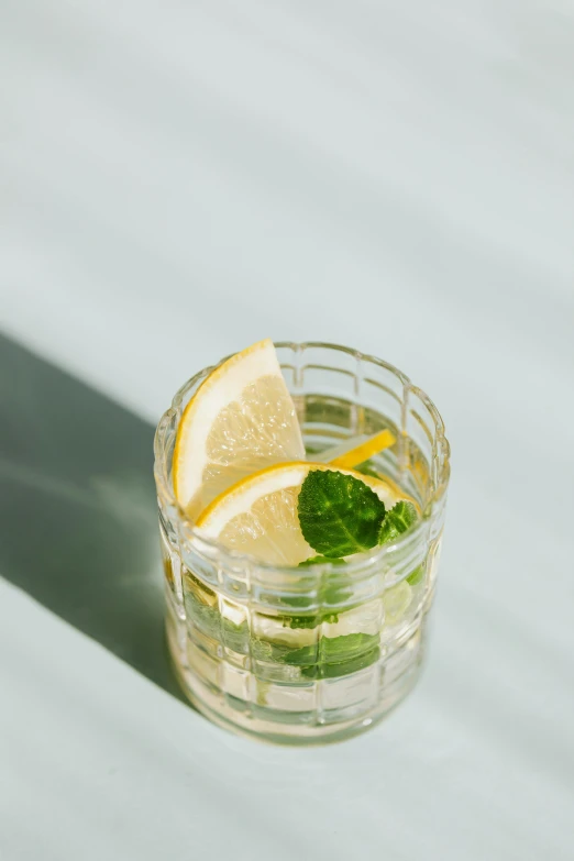 a glass of water with a slice of lemon and mint, trending on pexels, portrait n - 9, digital image, jen yoon, sunlit