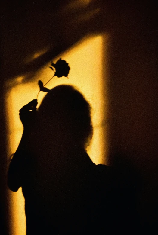 a person holding a flower in front of a window, by Clifford Ross, romanticism, silhouette :7, rose, golden light, pulitzer prize for photography