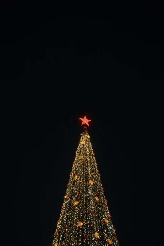 a large christmas tree is lit up at night, by Alexander Fedosav, pexels, minimalism, square, stars on top of the crown, gif, low detail