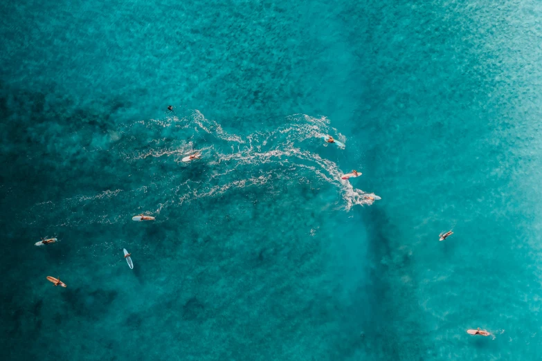 a group of people riding surfboards on top of a body of water, by Emma Andijewska, pexels contest winner, helicopter view, teal aesthetic, ignant, unsplash photo contest winner