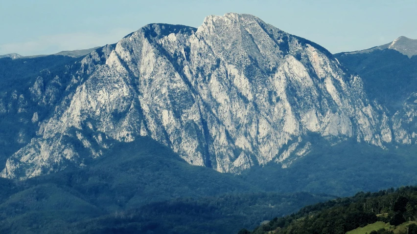 a herd of cattle standing on top of a lush green hillside, pexels contest winner, baroque, made of carrara marble, snowy peak, pictured from the shoulders up, abbondio stazio