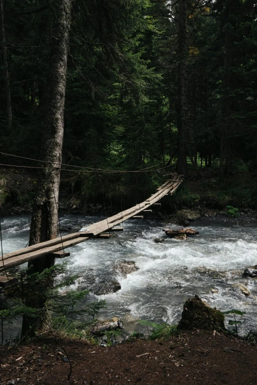 a suspension bridge over a river in a forest, by Muggur, hurufiyya, cinematic shot ar 9:16 -n 6 -g, multiple stories, ox, cozy