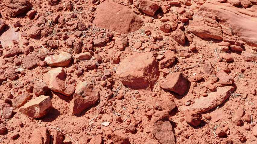 a bird sitting on top of a pile of rocks, red dusty soil, ((rocks)), dull red flaking paint, uluru