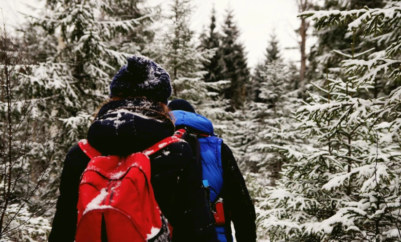 a couple of people that are walking in the snow, by Emma Andijewska, pexels, trekking in a forest, avatar image, a backpack, close-up photo