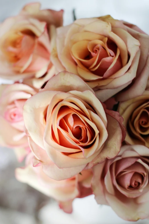 a bunch of pink roses in a vase, inspired by Rose O’Neill, pale orange colors, up close, award - winning details, slightly tanned