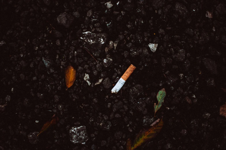 a cigarette that is sitting on the ground, by Elsa Bleda, pexels contest winner, nitrogen-rich soil, 15081959 21121991 01012000 4k, a high angle shot, ilustration