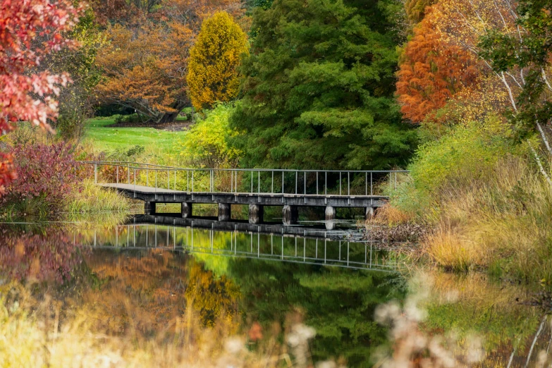 a bridge over a body of water surrounded by trees, inspired by Jasper Francis Cropsey, pexels, grassy autumn park outdoor, reflections in copper, telephoto shot, instagram photo