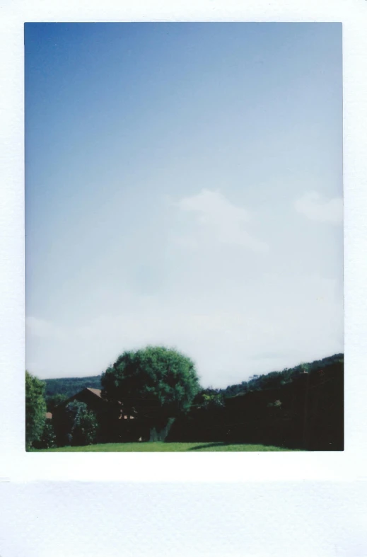 a picture of a tree in the middle of a field, a polaroid photo, house on a hill, low quality photo, summer sky, demna gvasalia