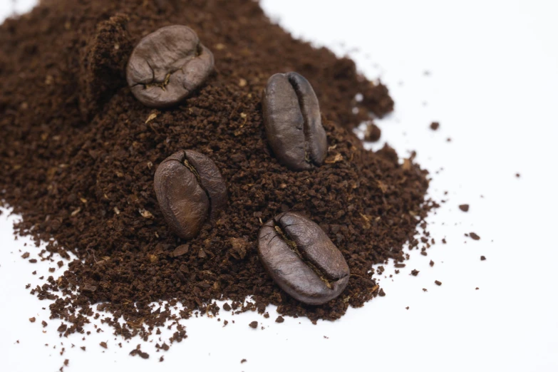 a pile of coffee beans sitting on top of a pile of dirt, by Robbie Trevino, detailed product image