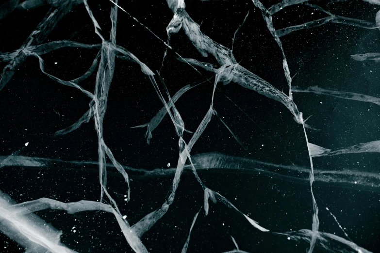 a black and white photo of a bunch of branches, a microscopic photo, inspired by Pollock, trending on pexels, blue marble, cracked glass, moonlight showing injuries, black marble and gold