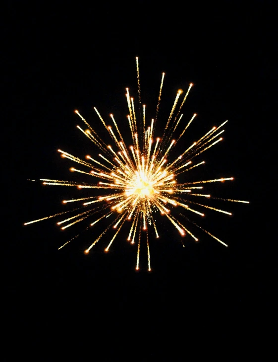 a close up of a firework on a black background, by Joe Stefanelli, stockphoto, kodak photo, illustartion, hires