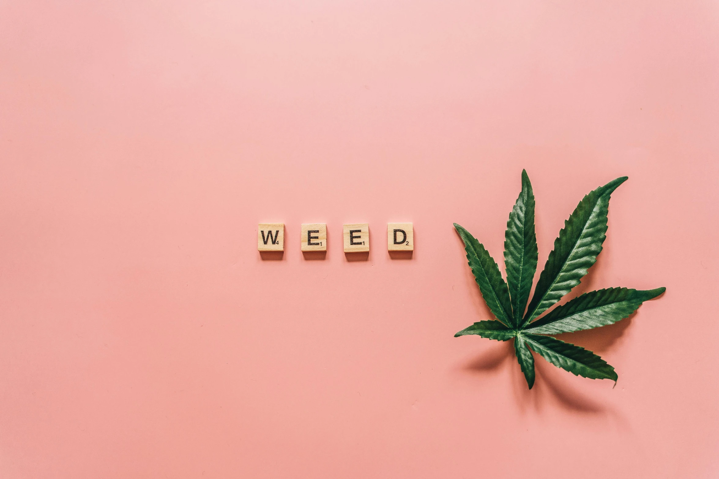 a marijuana leaf next to the word weed on a pink background, trending on unsplash, pots with plants, instagram picture, ¯_(ツ)_/¯