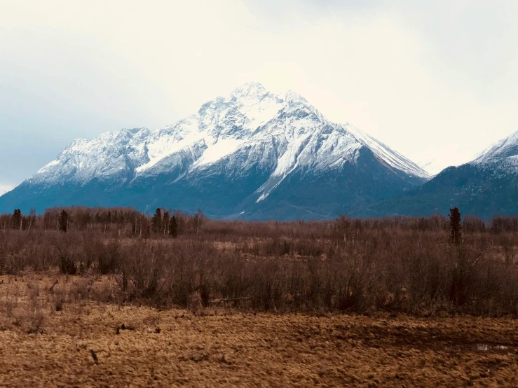 a horse standing in a field with mountains in the background, an album cover, inspired by Elsa Bleda, unsplash, visual art, alaska, panoramic shot, solo hiking in mountains trees, 2000s photo