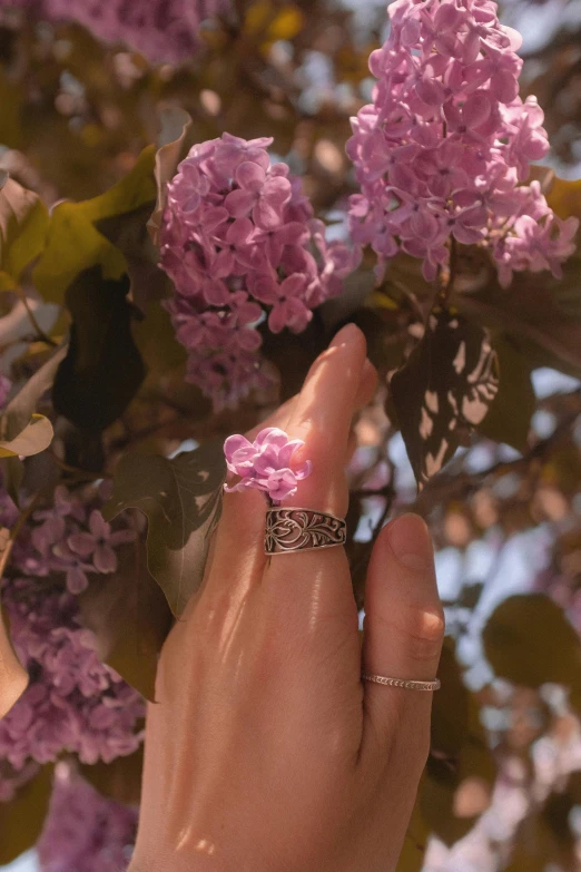 a person holding a purple flower in their hand, an album cover, inspired by L. A. Ring, trending on pexels, runic rings, lilacs, detailed filigree, 🌸 🌼 💮