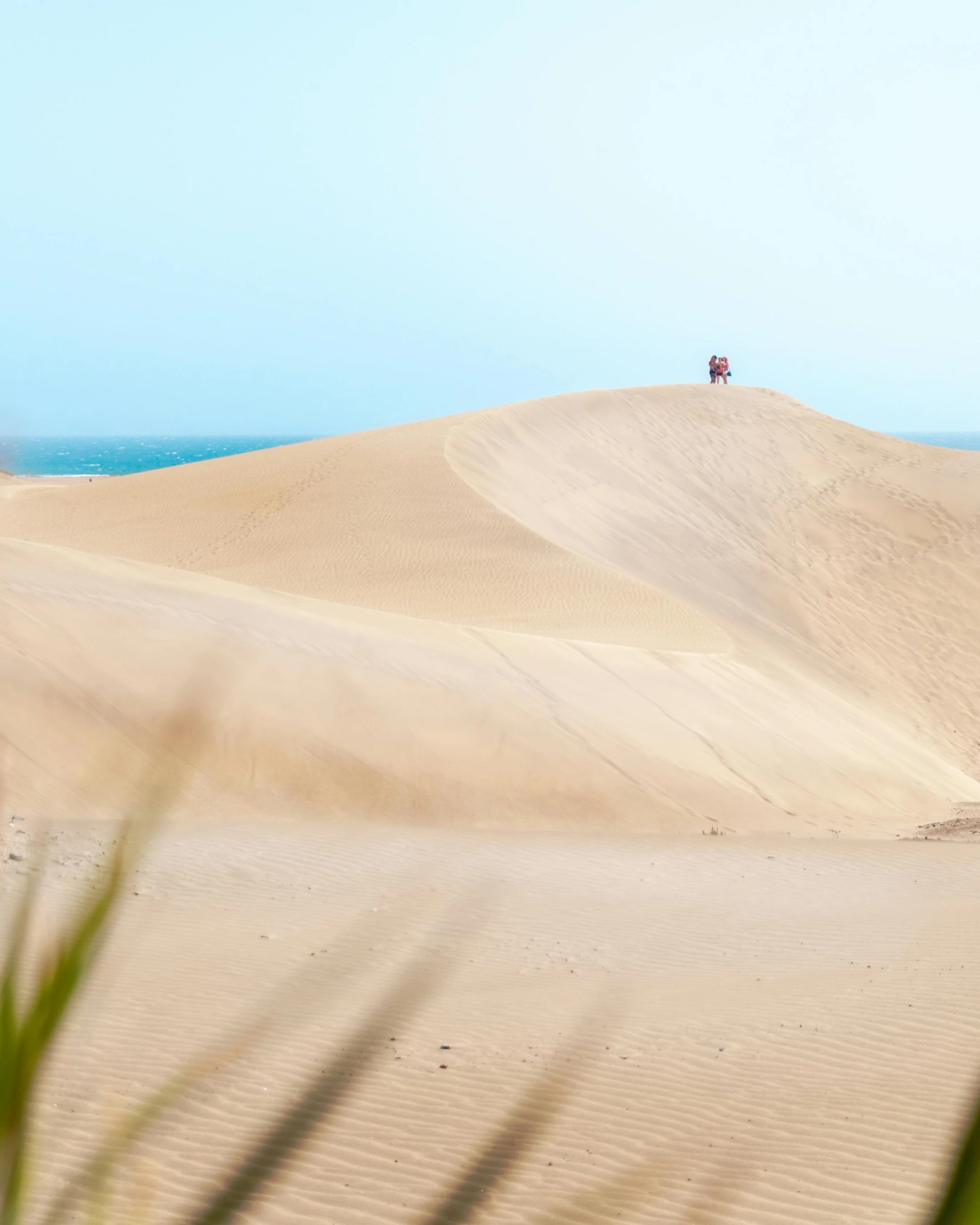 a person standing on top of a sand dune, near the beach, quixel megascans, oasis infront, unsplash 4k