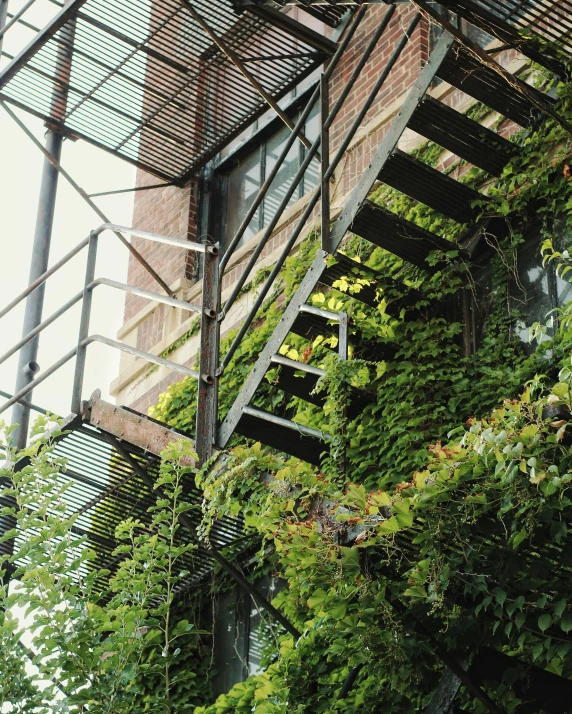 a red fire hydrant sitting next to a tall building, inspired by Elsa Bleda, unsplash, environmental art, green vines, stairway, an overgrown library, ignant