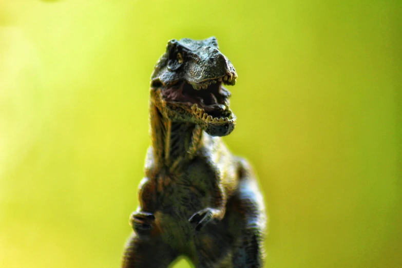 a close up of a toy dinosaur on a table, a macro photograph, pexels contest winner, snarling, young male, standing, megalophoba