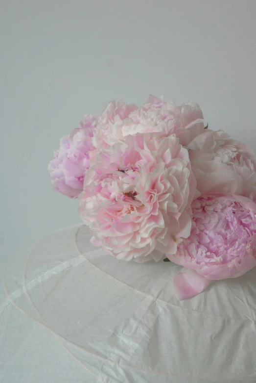 a bunch of pink flowers sitting on top of a pillow, head down, peony, award-winning crisp details”, front facing