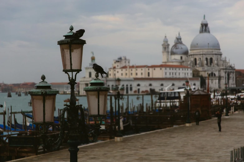 a couple of birds sitting on top of a lamp post, inspired by Canaletto, pexels contest winner, venice biennale, square, a wide shot, julia hetta