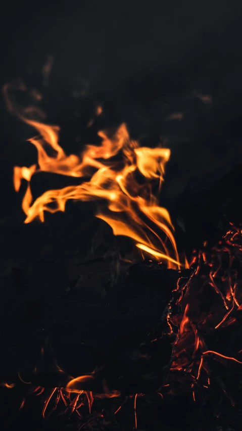 a close up of a fire on a black background, pexels contest winner, hurufiyya, cinematic shot ar 9:16 -n 6 -g, high quality photo, instagram post, devils