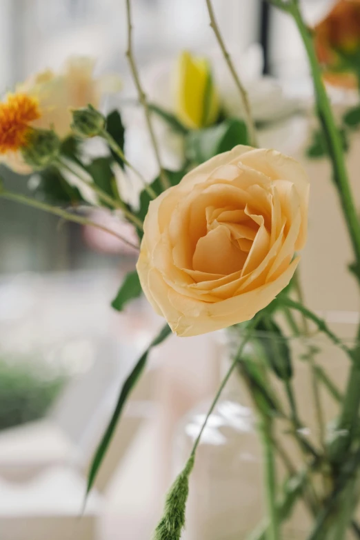 a close up of a vase with flowers in it, yellow rose, natural muted tones, lightweight, most popular